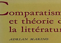 Comparatisme et Théorie de la Littérature